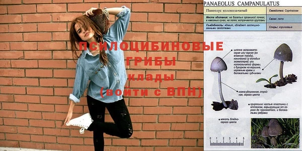 дживик Бикин