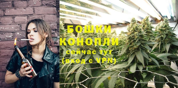 молекула духа Беслан