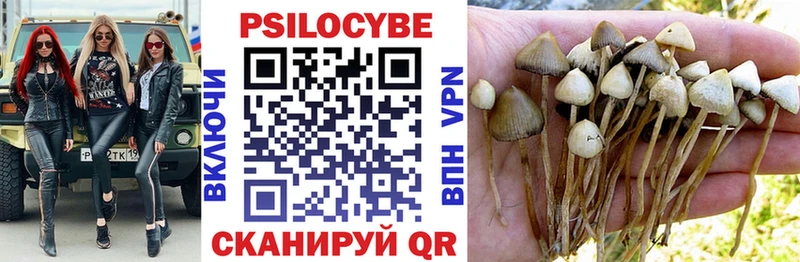 Галлюциногенные грибы мухоморы  Катайск 